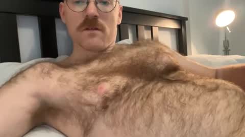 No Plan online show from 1, 12, 2024