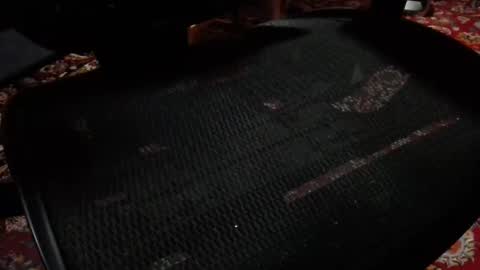 notjon069 online show from 19, 11, 2025