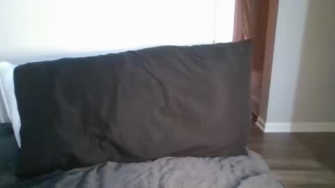 Nova online show from 25, 3, 2026