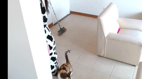 novaperotti online show from 14, 9, 2025