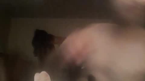 Snapshot of novasocia chatting on 23, 9, 2025 novasocia online show from 23, 9, 2025