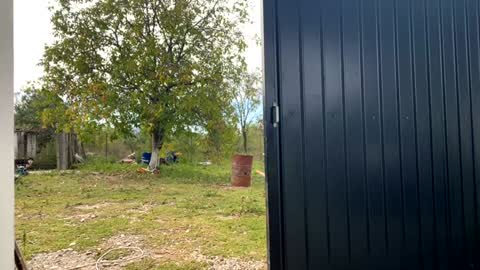 Snapshot of nyconik chatting on 19, 9, 2025 Nicol online show from 19, 9, 2025