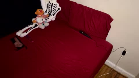 Nymphaea online show from 16, 2, 2026