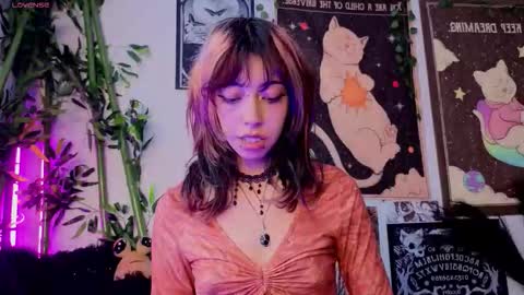   online show from 25, 3, 2026