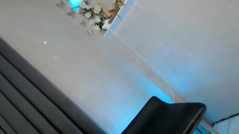 obeymycurves online show from 11, 1, 2026