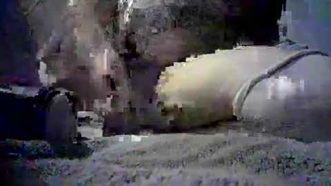 Snapshot of oc714r0nnie chatting on 20, 9, 2025 Just Some Guy Playing online show from 20, 9, 2025