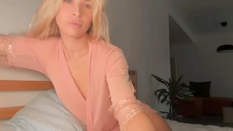 ocicatcat online show from 15, 4, 2026