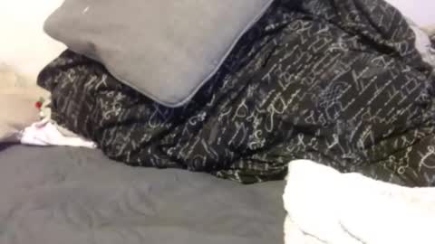 OGDigBick online show from 6, 1, 2026