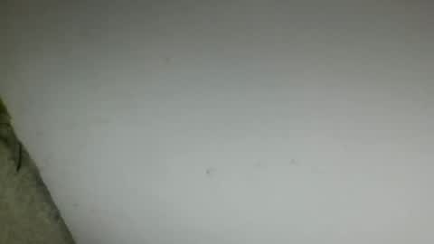 Snapshot of oggi95 chatting on 17, 6, 2026 oggi95 online show from 17, 6, 2026