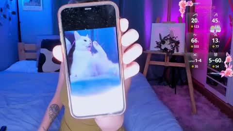 Light  online show from 22, 12, 2024