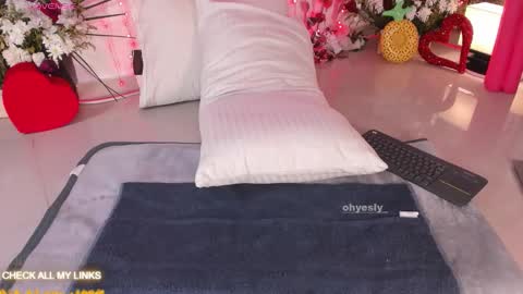 Snapshot of ohyesly_ chatting on 20, 2, 2026 ohyesly_ online show from 20, 2, 2026