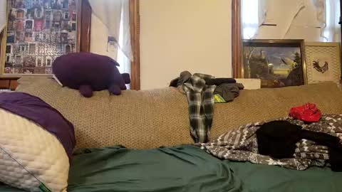 Snapshot of oknpc chatting on 29, 1, 2025 oknpc online show from 29, 1, 2025