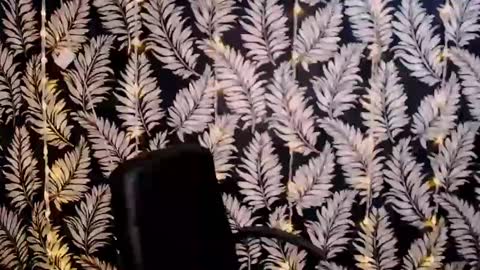 Snapshot of oliviaoskar_ chatting on 6, 1, 2025 Kelly online show from 6, 1, 2025