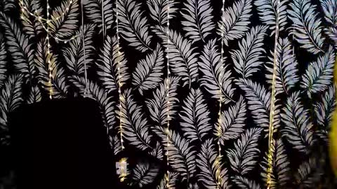 Snapshot of oliviaoskar_ chatting on 29, 11, 2025 Kelly online show from 29, 11, 2025