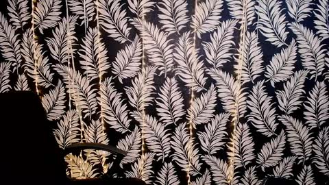 Kelly online show from 7, 4, 2026