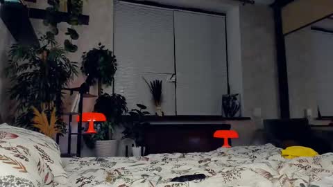 Ana online show from 22, 2, 2025