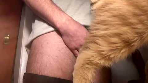 Snapshot of onedayonedollar chatting on 25, 2, 2025 onedayonedollar online show from 25, 2, 2025