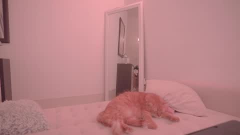 Snapshot of onelittlemermaid chatting on 18, 10, 2025 Ariel online show from 18, 10, 2025