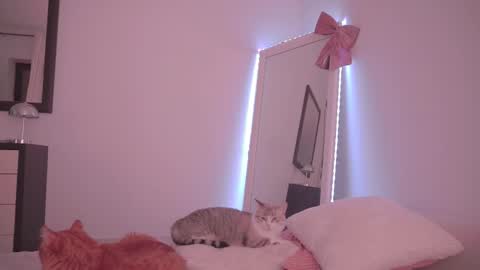 Ariel online show from 17, 2, 2026