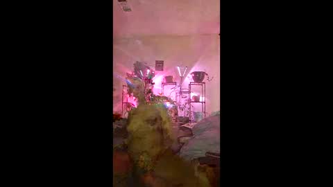 onfleektigress online show from 3, 5, 2026