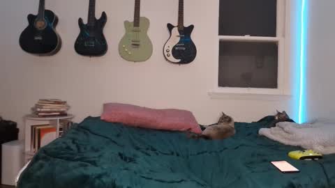 Duo online show from 12, 3, 2025