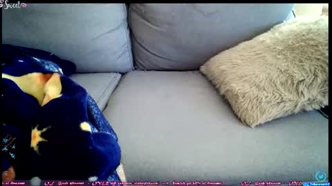 Snapshot of ooh_sweet chatting on 27, 6, 2026 OF - Ooh 69sweet SNAP4LIFE OFFLINE 899 normal VIP 1369 outside online show from 27, 6, 2026