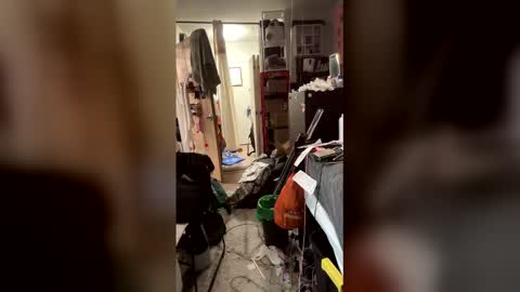 TsJojo online show from 6, 2, 2026