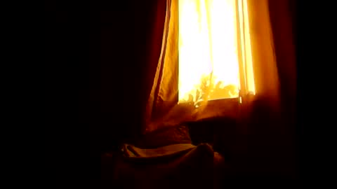 Snapshot of opree_pirocudo chatting on 31, 1, 2026 Opree online show from 31, 1, 2026