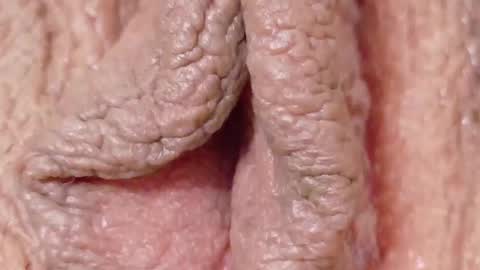 Snapshot of orchidekitty chatting on 1, 2, 2026 orchidekitty online show from 1, 2, 2026