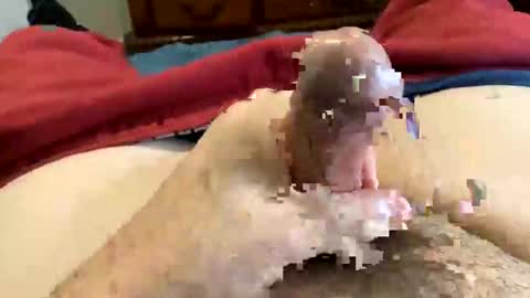 Snapshot of oreoworld chatting on 30, 12, 2024 Super Soaker Oreo World online show from 30, 12, 2024