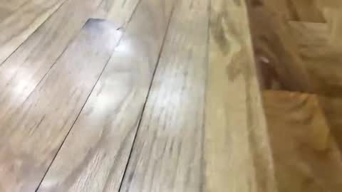 Snapshot of oreoworld chatting on 11, 11, 2025 Super Soaker Oreo World online show from 11, 11, 2025