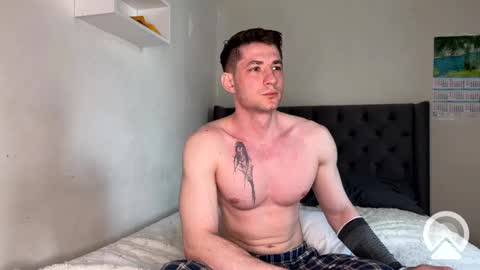 origamicat online show from 3, 3, 2025