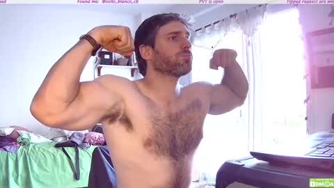 Osito Blanco online show from 13, 11, 2025