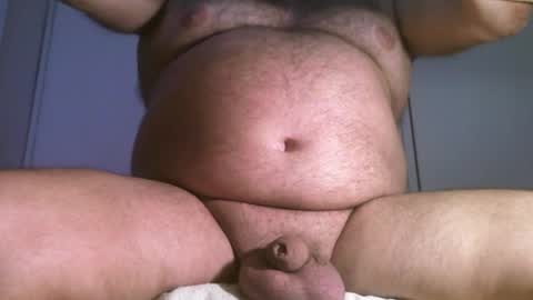 Oso Licencioso online show from 31, 3, 2026