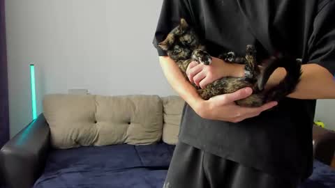 Ostin online show from 6, 3, 2026