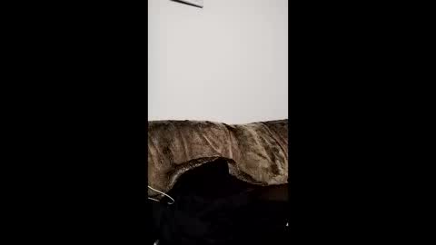 Owen kayz online show from 29, 4, 2026