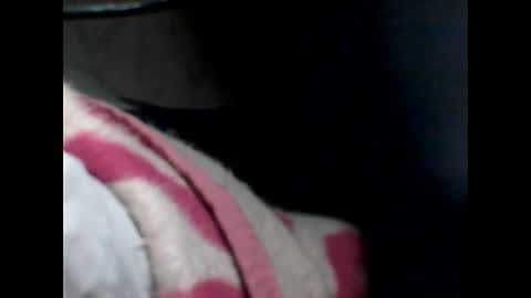 p_ro_rok online show from 7, 2, 2026