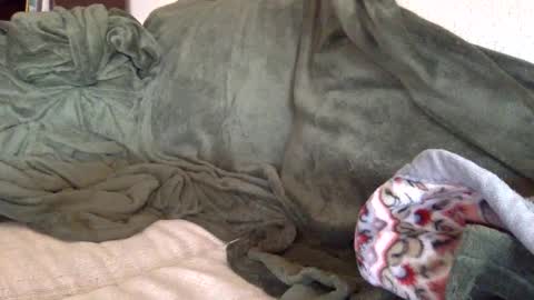 paintdude424 online show from 26, 9, 2025