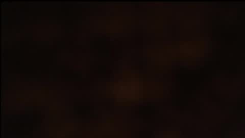 Snapshot of paiper_halliwey_ chatting on 26, 1, 2025 paiper online show from 26, 1, 2025