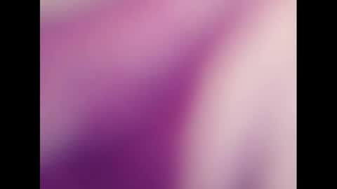   PALA online show from 3, 3, 2025