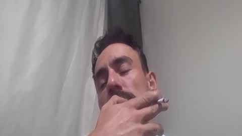   PALA online show from 23, 11, 2025