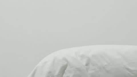 Pamela online show from 9, 1, 2025