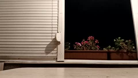 angel hris online show from 4, 11, 2025