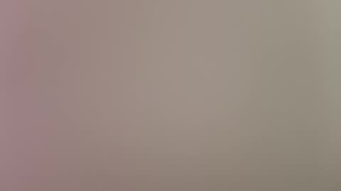 angel hris online show from 2, 3, 2026