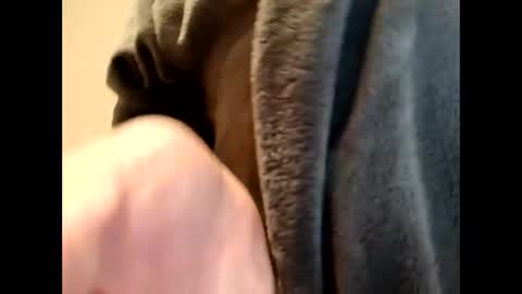 panda320 online show from 9, 1, 2026