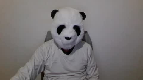 Panda online show from 6, 12, 2024