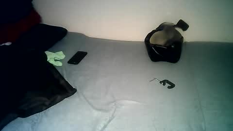 Snapshot of pantslesstraveler_plt chatting on 14, 12, 2024 PantsLessTraveler online show from 14, 12, 2024