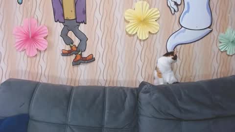 I am Lora and i am glad to see you in my room online show from 11, 10, 2025