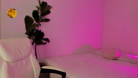    online show from 29, 3, 2026