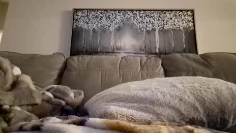 patrick247288 online show from 12, 2, 2025